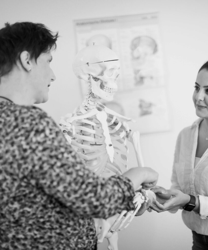 Zwei innovas-Mitarbeitende im fachlichen Gespräch an einem künstlichen Skelett